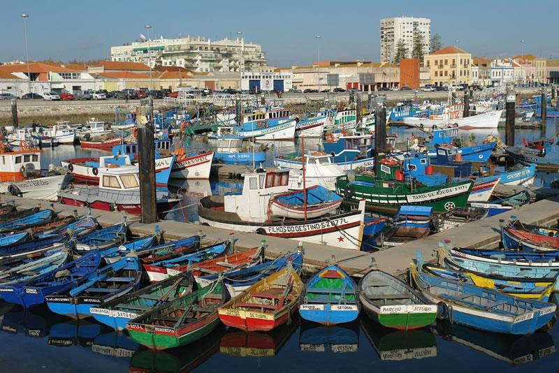 Patios Das Marias - Rosas Setúbal Dış mekan fotoğraf
